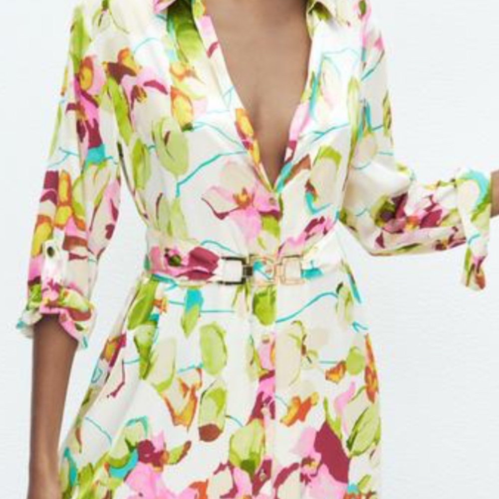 Zara Multicolor Floral Long Sleeve Dress